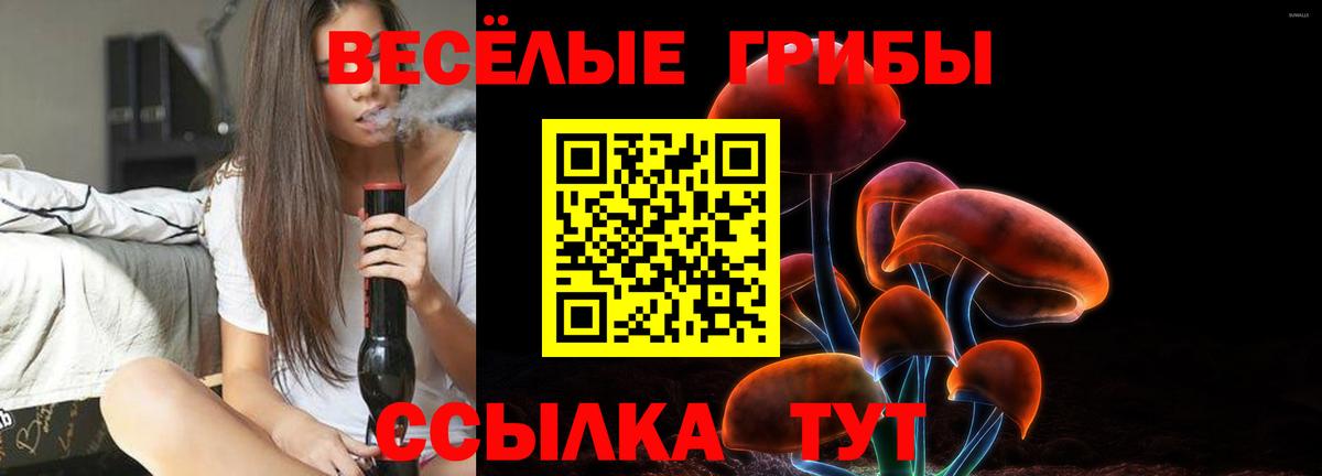 Галлюциногенные грибы ЛСД Элиста