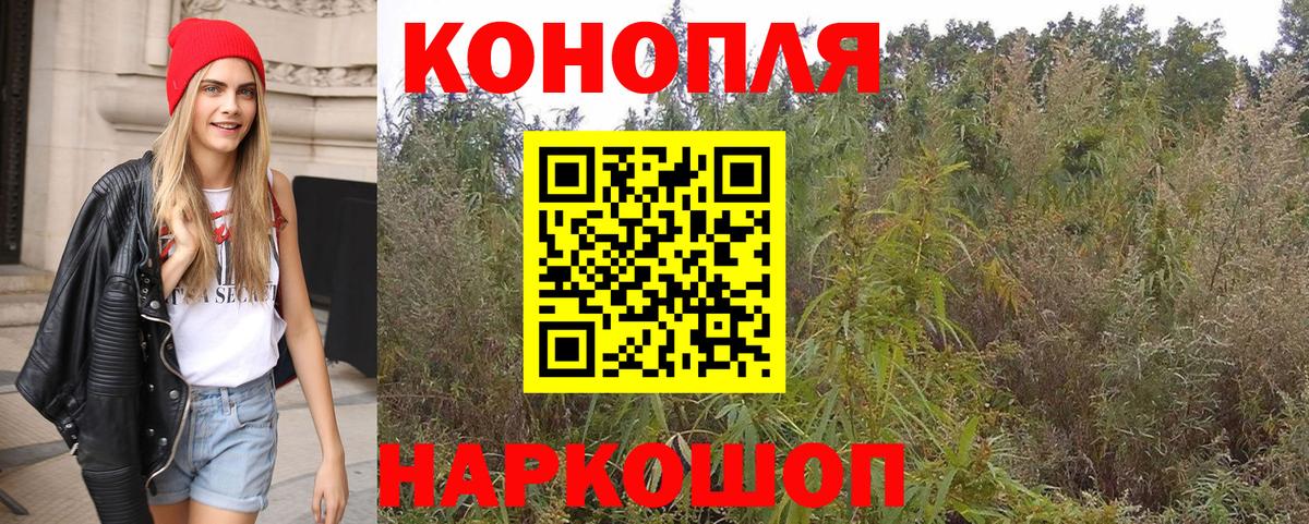 Бошки Шишки гибрид Элиста